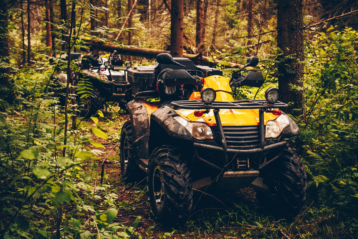 All terrain vehicle